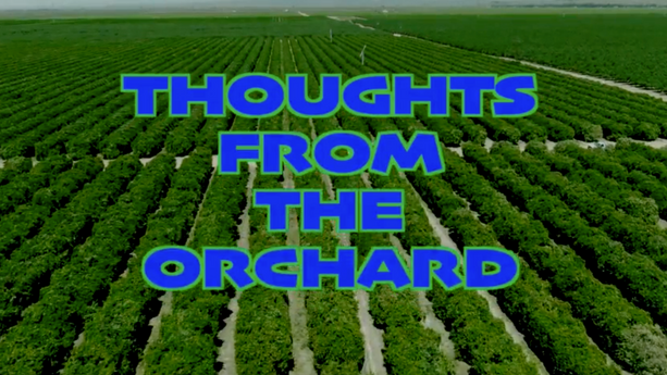 ENOS - Thoughts From The Orchard series